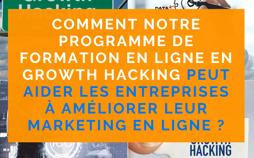 Comment notre programme de formation en ligne en growth hacking peut aider les entreprises à améliorer leur marketing en ligne ?