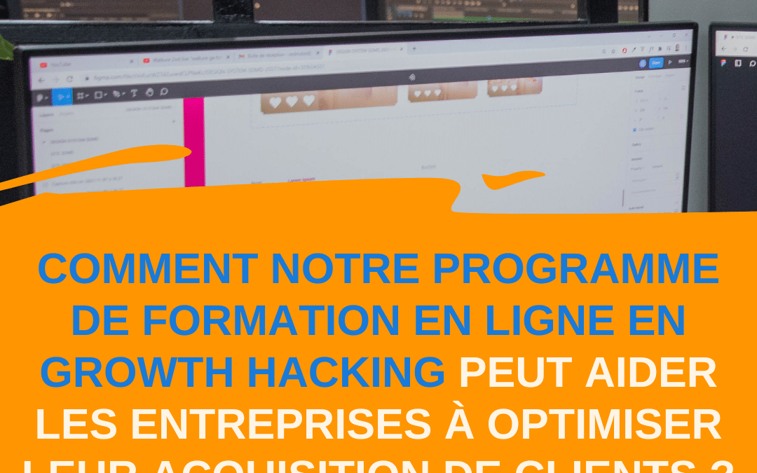 Comment notre programme de formation en ligne en growth hacking peut aider les entreprises à optimiser leur acquisition de clients ?