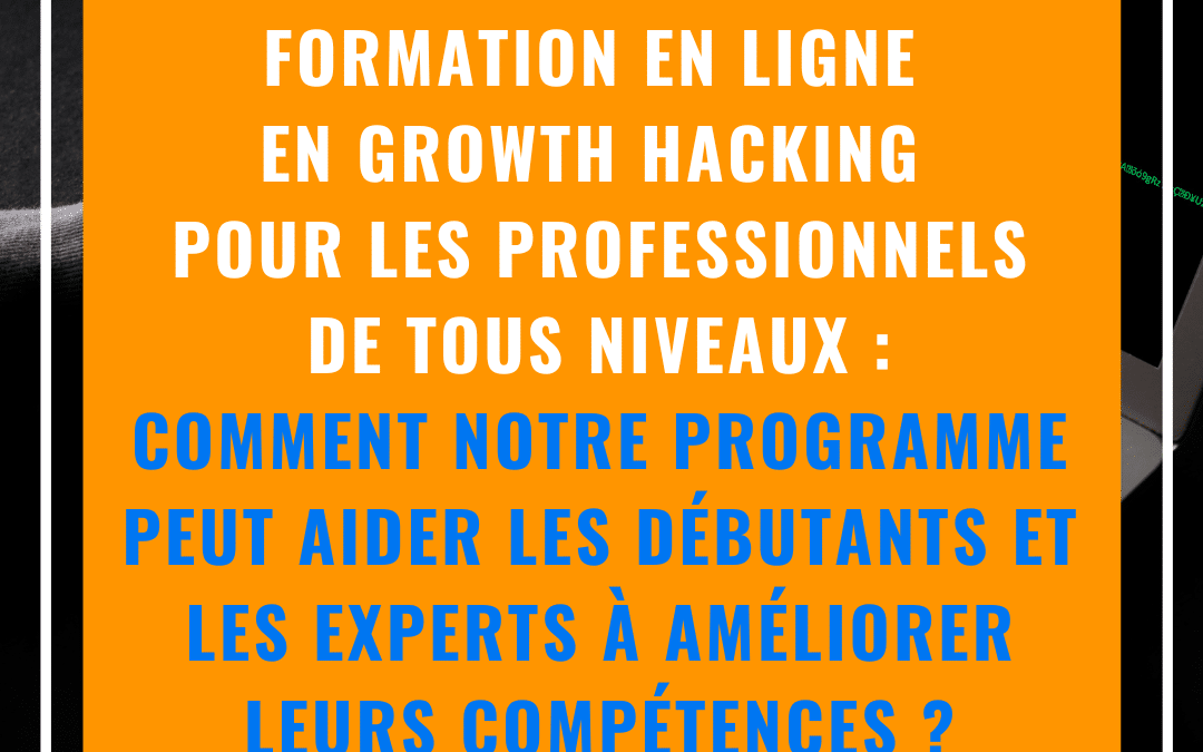 Les avantages de la formation en ligne en growth hacking pour les professionnels de tous niveaux : comment notre programme peut aider les débutants et les experts à améliorer leurs compétences ?